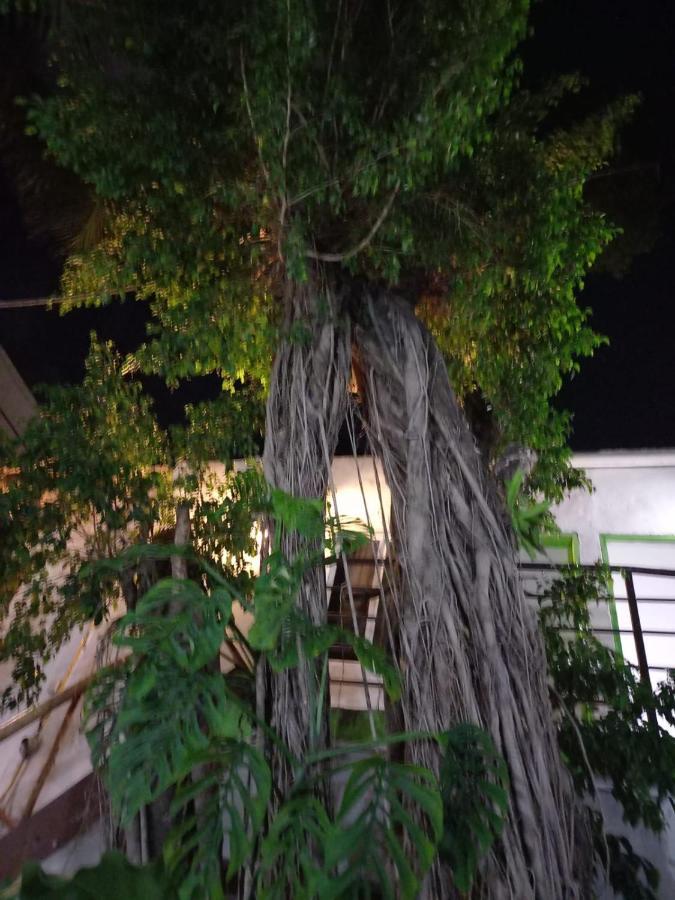 Mundo Maya Tulum Kültér fotó